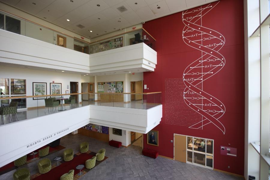 Science Center Lobby displaying a DNA sequence art piece